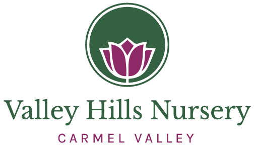 Valley Hills Nursery logo