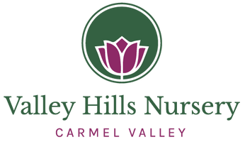 Valley Hills Nursery